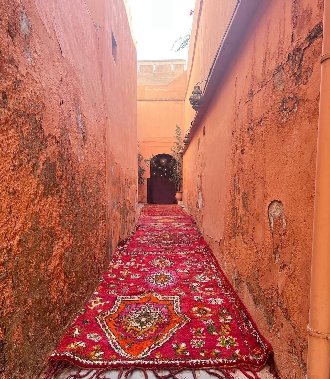 Jardins du Lotus - Evening ambiance